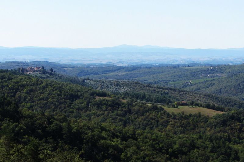 foto 23 Alquiler vacacional entre particulares Siena villa Toscana Siena (provincia de) Vistas desde el alojamiento