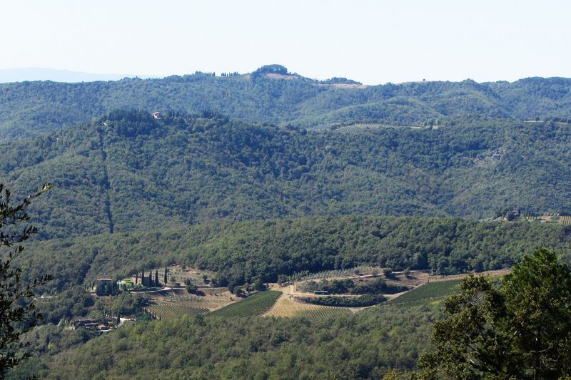 foto 24 Alquiler vacacional entre particulares Siena villa Toscana Siena (provincia de) Vistas desde el alojamiento