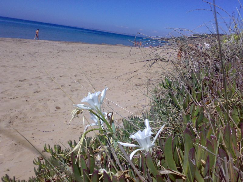 foto 16 Alquiler vacacional entre particulares Sciacca appartement Sicilia Agrigento (provincia de) Playa