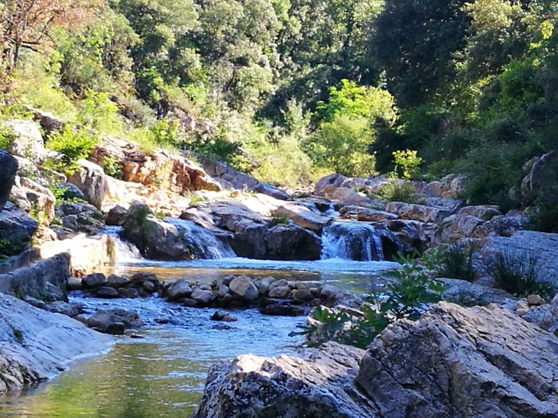 foto 0 Alquiler vacacional entre particulares Lorgues gite Provenza-Alpes-Costa Azul Var