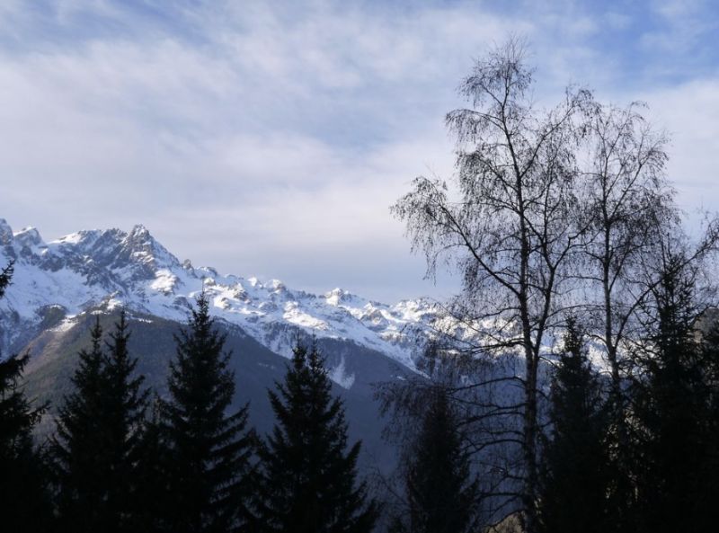 foto 5 Alquiler vacacional entre particulares Oz en Oisans chalet Rdano Alpes Isre Vistas desde el balcn