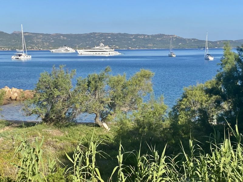 foto 4 Alquiler vacacional entre particulares Baja Sardinia appartement Cerdea Olbia Tempio (provincia de) Vistas desde el alojamiento