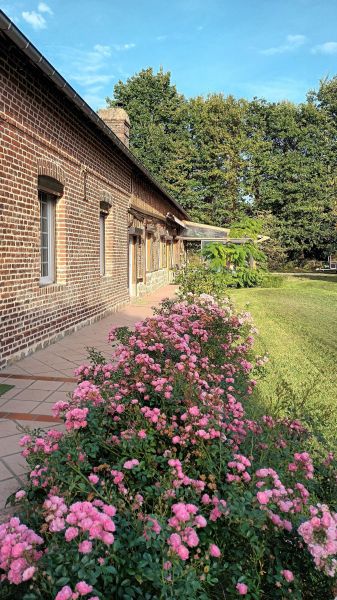 foto 14 Alquiler vacacional entre particulares Veules-les-Roses maison Alta Normanda Sena Martimo Jardn