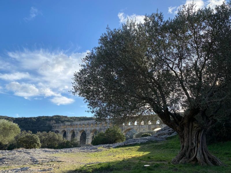 foto 15 Alquiler vacacional entre particulares Uzs villa Languedoc-Roselln Gard