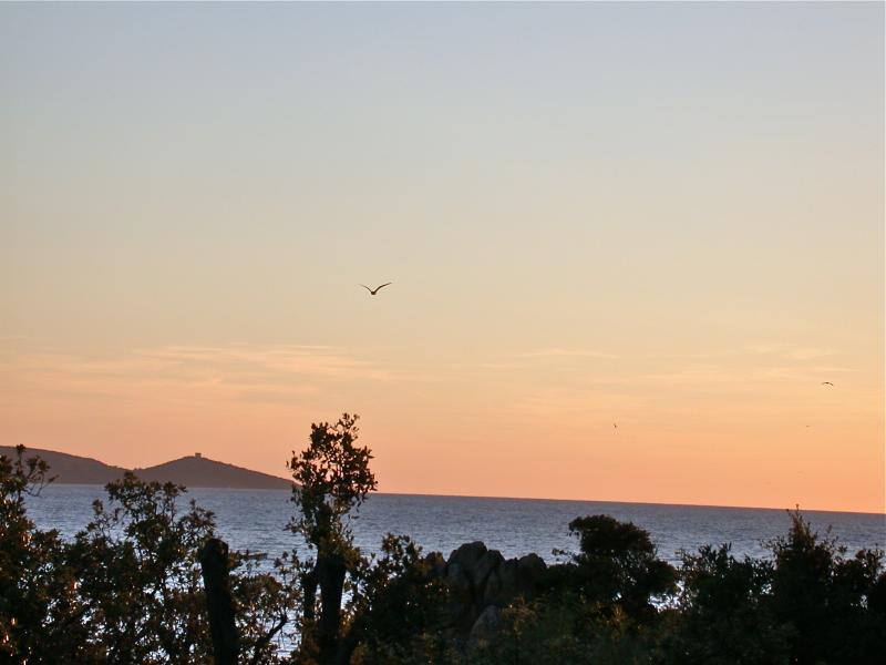 foto 14 Alquiler vacacional entre particulares Propriano villa Crcega Crcega del Sur Vistas desde el alojamiento