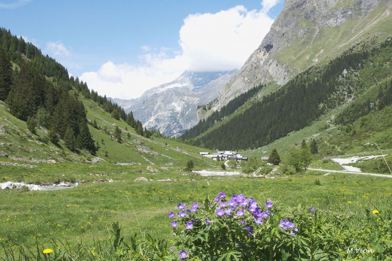 foto 19 Alquiler vacacional entre particulares Pralognan la Vanoise appartement Rdano Alpes Saboya Vistas de las proximidades