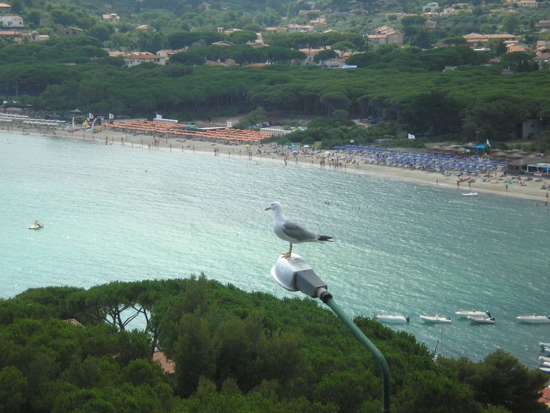 foto 1 Alquiler vacacional entre particulares Campo nell'Elba appartement Toscana Isla de Elba Vistas desde la terraza