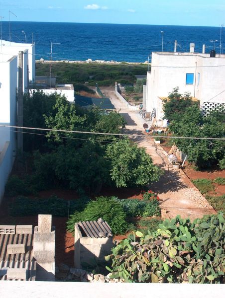 foto 10 Alquiler vacacional entre particulares Ugento - Torre San Giovanni villa Apulia Lecce (provincia de) Vistas desde la terraza