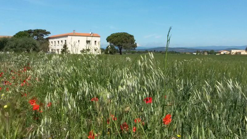 foto 1 Alquiler vacacional entre particulares Narbonne maison Languedoc-Roselln Aude