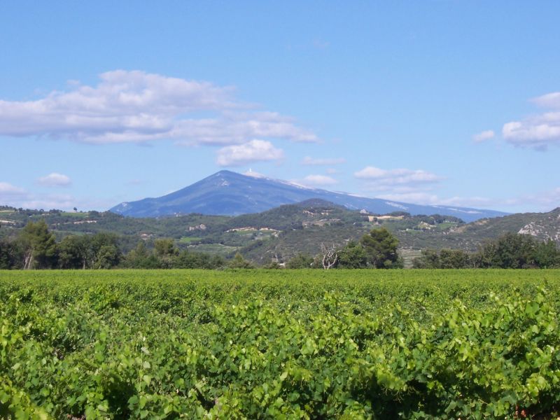 foto 4 Alquiler vacacional entre particulares Loriol-du-Comtat gite Provenza-Alpes-Costa Azul Vaucluse Otras vistas