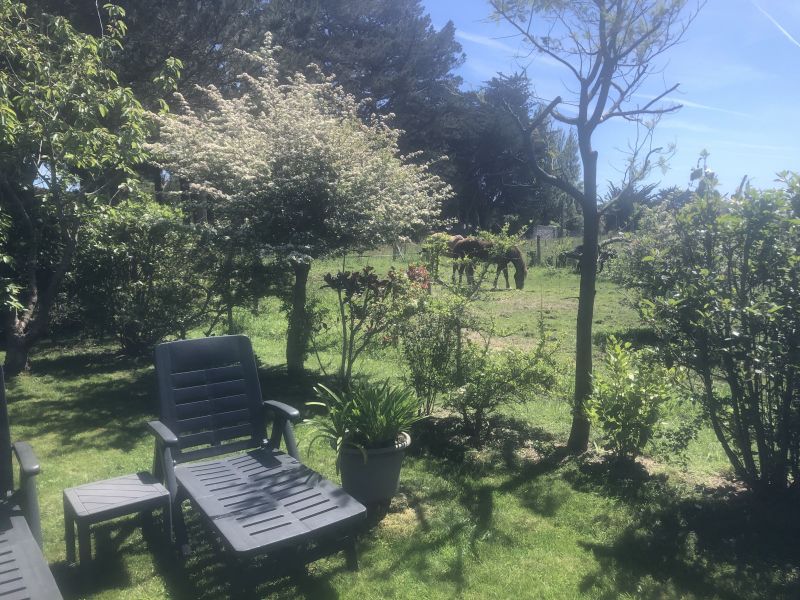 foto 4 Alquiler vacacional entre particulares Le Palais maison Bretaa Morbihan Jardn