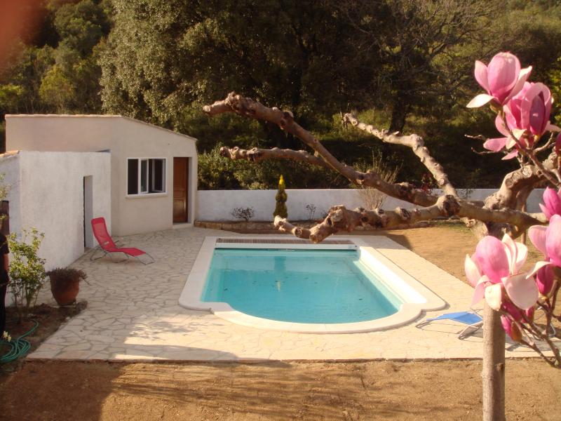 foto 1 Alquiler vacacional entre particulares La Roque-sur-Cze gite Languedoc-Roselln Gard Piscina