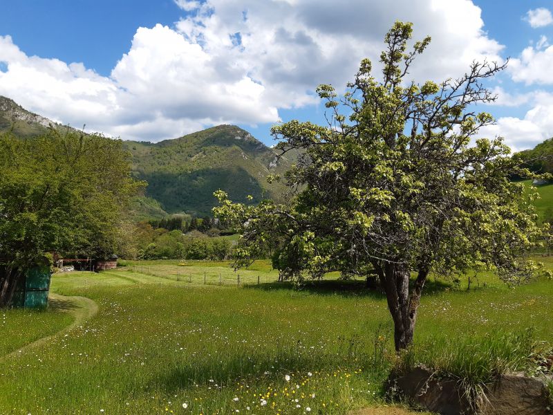 foto 17 Alquiler vacacional entre particulares Bagnres de Bigorre gite Medioda-Pirineos Altos Pirineos