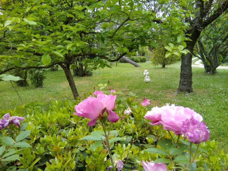 foto 21 Alquiler vacacional entre particulares Anduze villa Languedoc-Roselln Gard Jardn