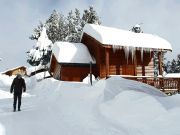 Alquiler chalets vacaciones Languedoc-Roselln: chalet n 106862