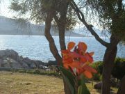 Alquiler vacaciones Costa Mediterrnea Francesa para 6 personas: villa n 108871