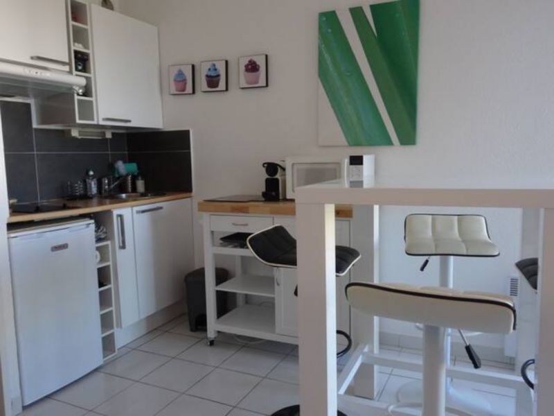 foto 4 Alquiler vacacional entre particulares Saint Cyprien Plage studio Languedoc-Roselln Pirineos Orientales Kitchenette