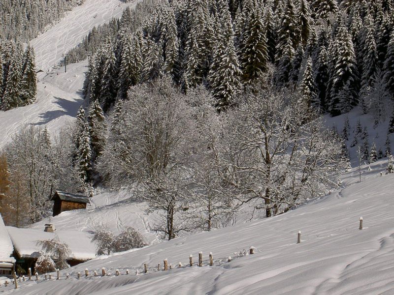 foto 2 Alquiler vacacional entre particulares Chtel chalet Rdano Alpes Alta Saboya Vistas desde el alojamiento