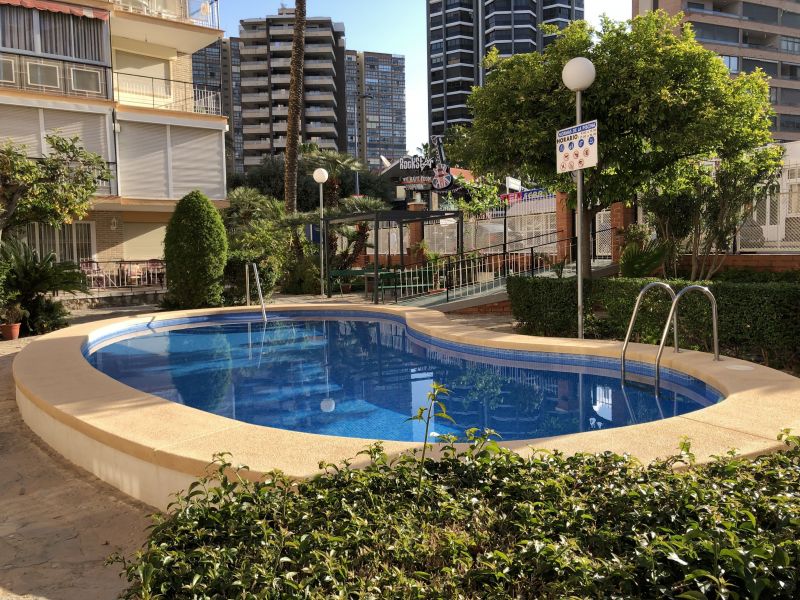 foto 0 Alquiler vacacional entre particulares Benidorm appartement Comunidad Valenciana Alicante (provincia de) Piscina