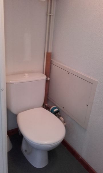 foto 13 Alquiler vacacional entre particulares La Plagne appartement Rdano Alpes Saboya WC separado