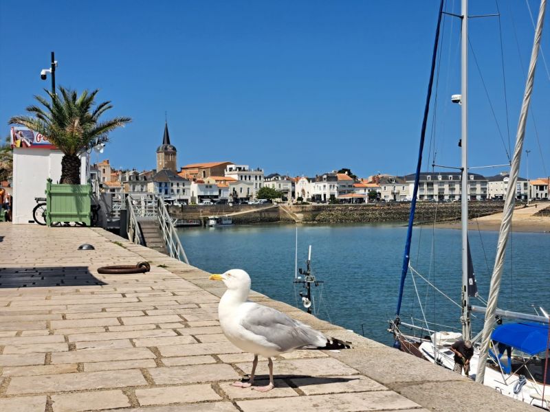 foto 19 Alquiler vacacional entre particulares Les  Sables d'Olonne maison Pases del Loira Vende Vistas de las proximidades