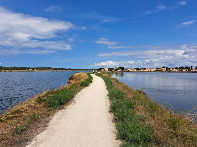 foto 25 Alquiler vacacional entre particulares Les  Sables d'Olonne maison Pases del Loira Vende Vistas de las proximidades