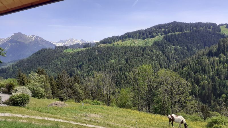 foto 15 Alquiler vacacional entre particulares Morzine studio Rdano Alpes Alta Saboya Vistas desde el alojamiento