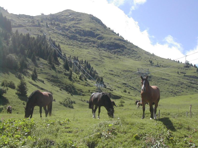 foto 17 Alquiler vacacional entre particulares Morzine appartement Rdano Alpes Alta Saboya