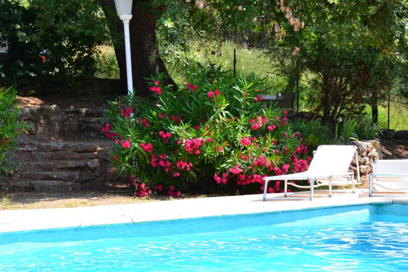 foto 10 Alquiler vacacional entre particulares Frjus appartement Provenza-Alpes-Costa Azul Var Piscina