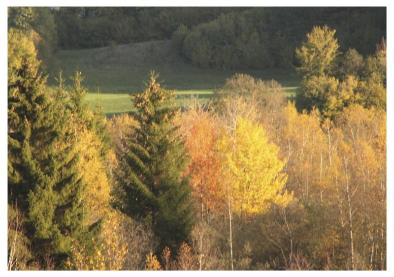 foto 4 Alquiler vacacional entre particulares Fort-du-Plasne gite Franco Condado Jura