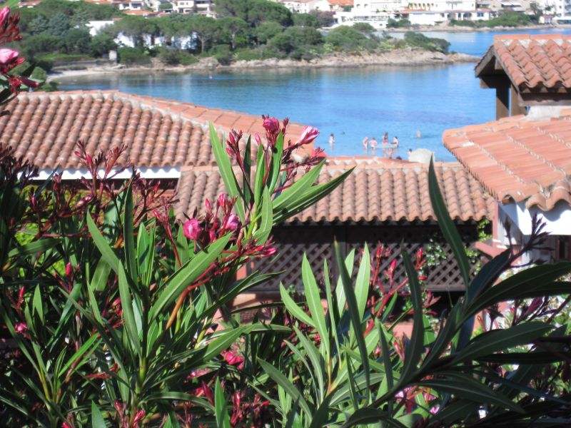 foto 1 Alquiler vacacional entre particulares Golfo Aranci appartement Cerdea Olbia Tempio (provincia de) Vistas desde la terraza