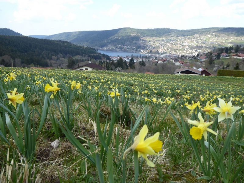 foto 18 Alquiler vacacional entre particulares Grardmer appartement Lorena Vosgos Otras vistas