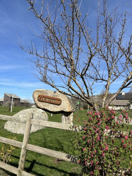 foto 5 Alquiler vacacional entre particulares Pont-de-Montvert gite Languedoc-Roselln Lozre Jardn