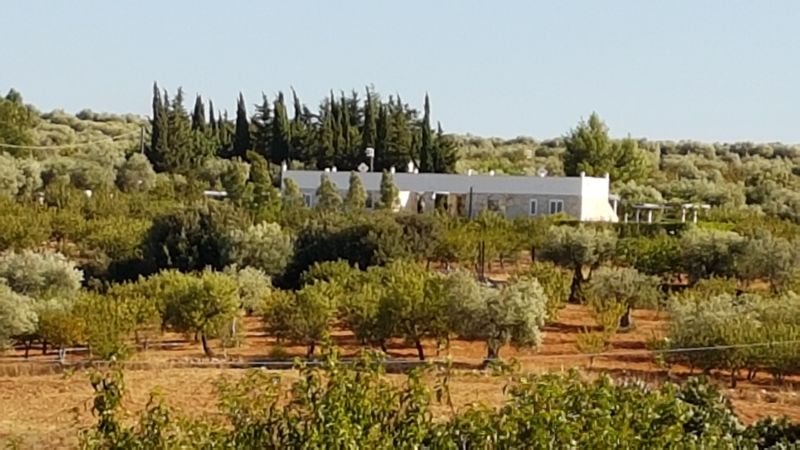 foto 1 Alquiler vacacional entre particulares Polignano a Mare villa Apulia Bari (provincia de) Vistas exteriores del alojamiento