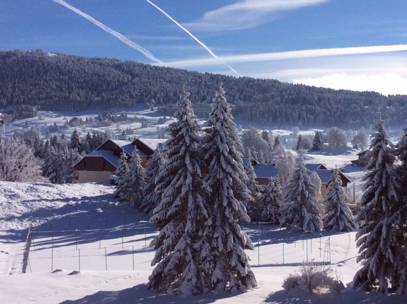 foto 0 Alquiler vacacional entre particulares Les Rousses appartement Franco Condado Jura Vistas desde el balcn