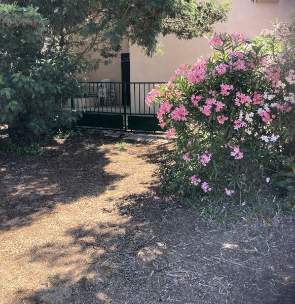 foto 4 Alquiler vacacional entre particulares Porto Vecchio appartement Crcega Crcega del Sur Jardn