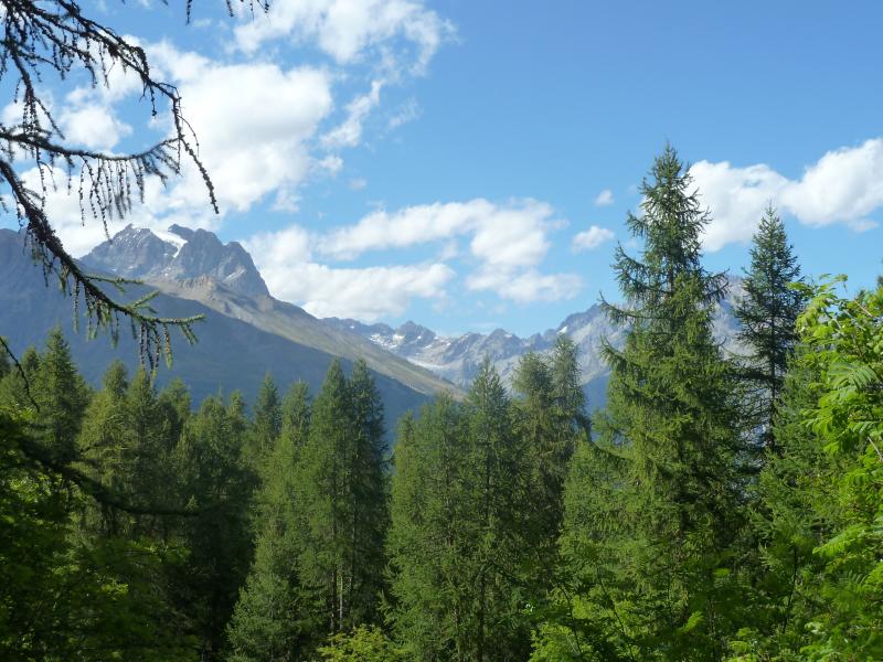 foto 16 Alquiler vacacional entre particulares Puy Saint Vincent studio Provenza-Alpes-Costa Azul Altos Alpes Vistas de las proximidades