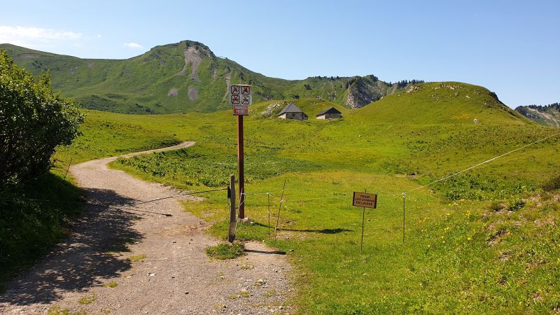 foto 13 Alquiler vacacional entre particulares Praz de Lys Sommand studio Rdano Alpes Alta Saboya