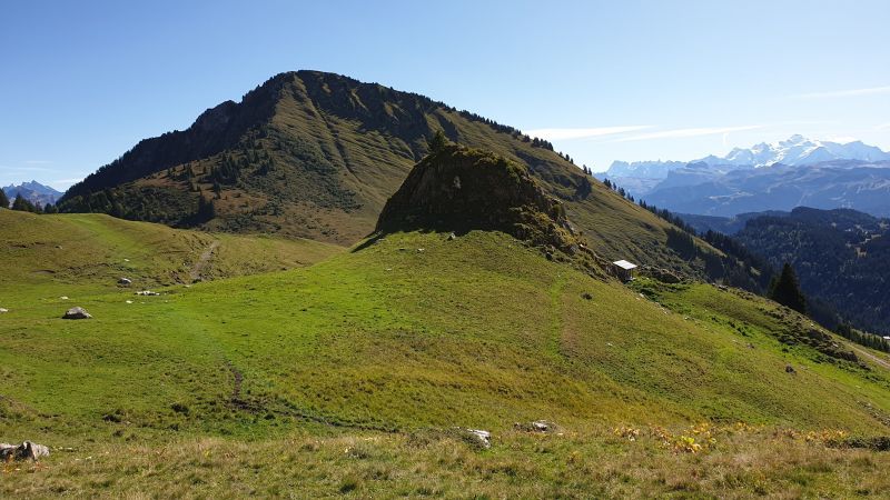 foto 14 Alquiler vacacional entre particulares Praz de Lys Sommand studio Rdano Alpes Alta Saboya