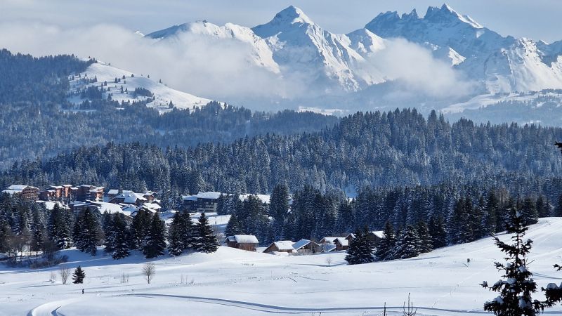 foto 8 Alquiler vacacional entre particulares Praz de Lys Sommand studio Rdano Alpes Alta Saboya